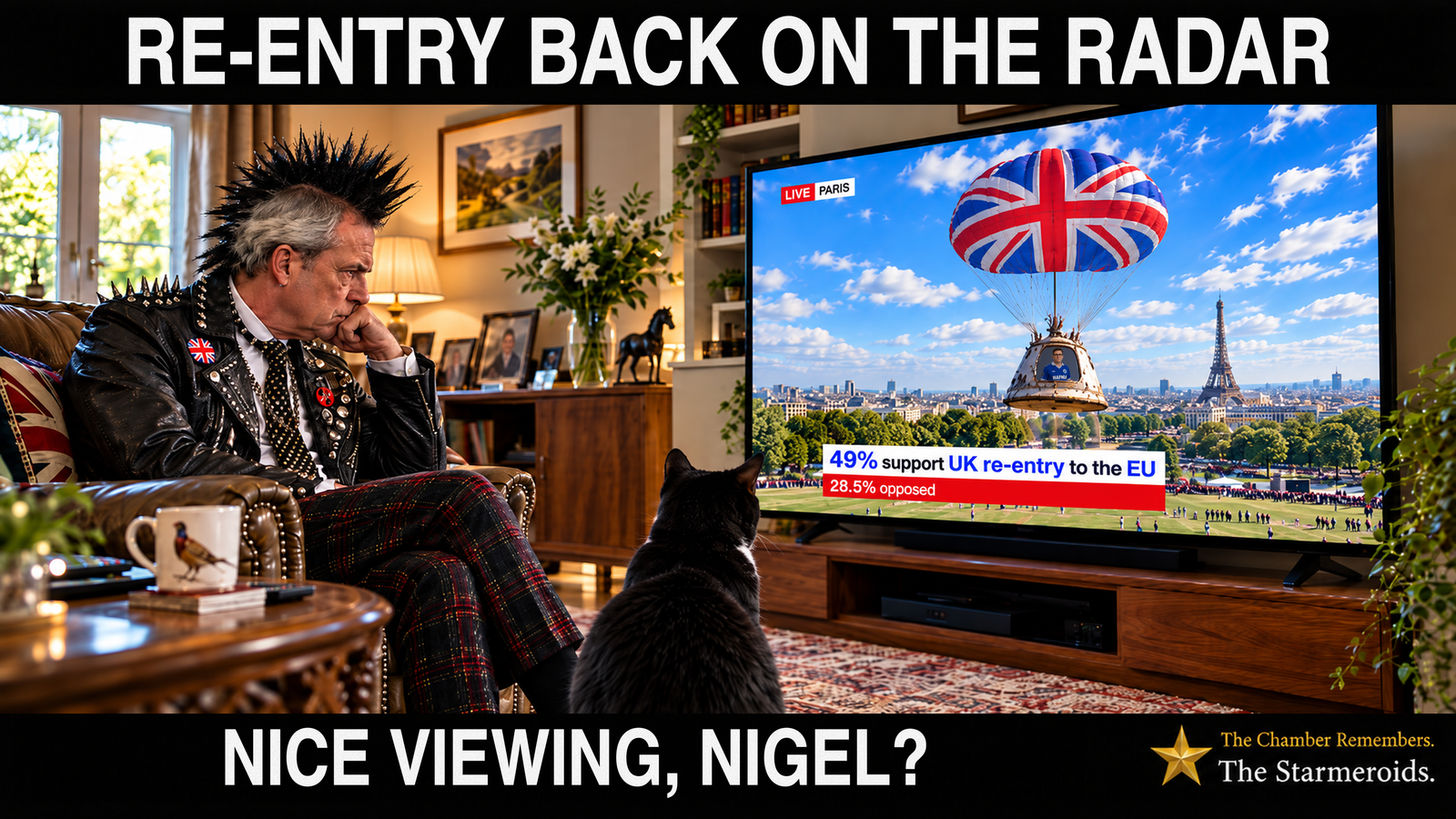 Top bar text: “Re-entry back on the radar.” In a bright living room, a punk-styled older man with a tall black spiked mohawk, a black studded leather jacket with a Union Jack patch, and red-and-black tartan trousers sits in a brown leather armchair, resting his chin on his hand and looking towards a large television. In the foreground, Tac is a small black short-haired cat seen from behind, sitting upright with his ears pricked as he looks towards the television. The screen is labelled “Live Paris” and shows a Union Jack parachute descending over Paris, with the Eiffel Tower visible on the right. A television news graphic reads “49% support UK re-entry to the EU” and “28.5% opposed.” Bottom bar text: “Nice viewing, Nigel?”